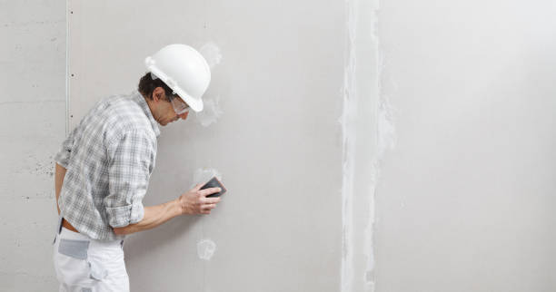 Best Biohazard Mold Removal  in Washburn, WI
