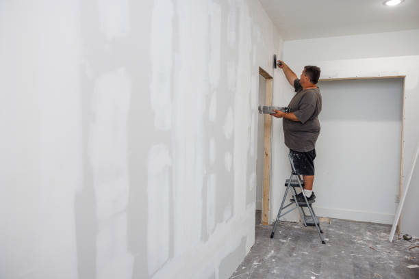Best Post-Construction Mold Inspection  in Washburn, WI