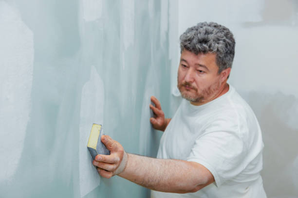 Best Industrial Mold Remediation  in Washburn, WI