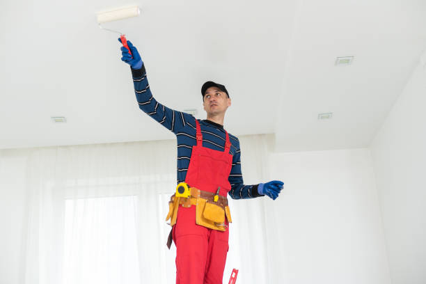 Best Mold Damage Restoration  in Washburn, WI