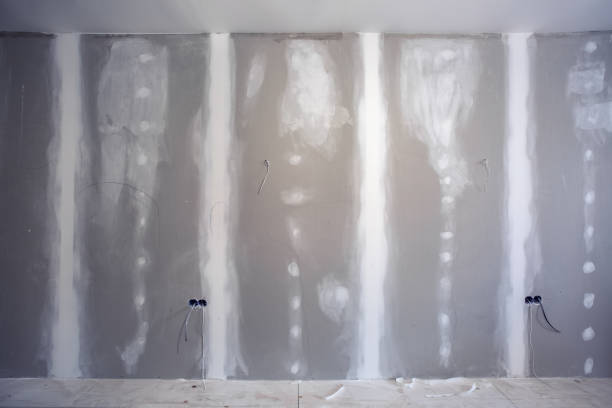 Trusted Washburn, WI Mold Removal Experts